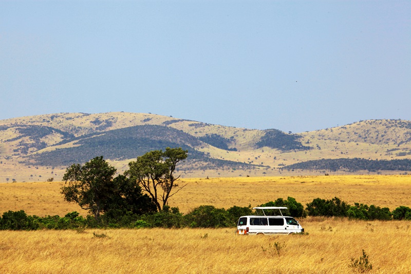 Mbuga ya Maasai Mara. (Picha/VCG)